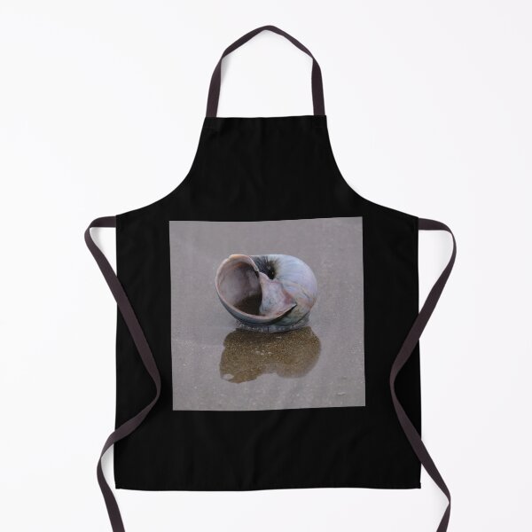 Item preview, Snail shell with Reflection designed and sold by ianlewer.