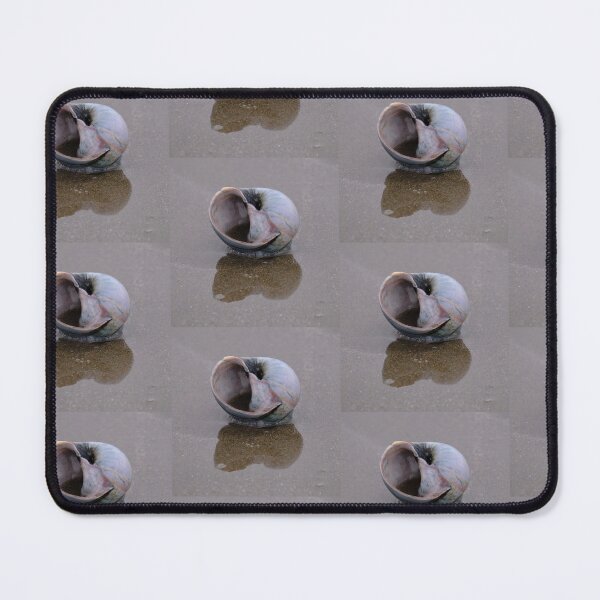 Item preview, Snail shell with Reflection designed and sold by ianlewer.