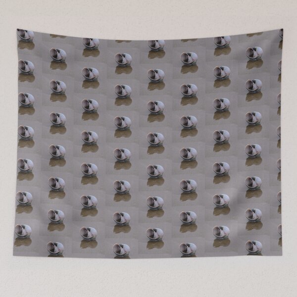 Item preview, Snail shell with Reflection designed and sold by ianlewer.