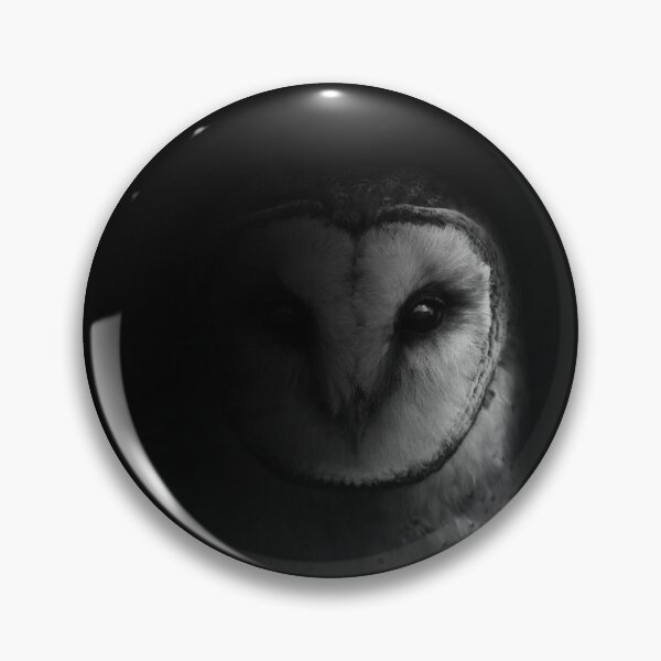Artikelvorschau, Eine Schleiereule – schwarz-weiß fotografisches Vogelporträt – dramatisches Schattentier-Kunstwerk entworfen und verkauft von Bob-Moon-Art.