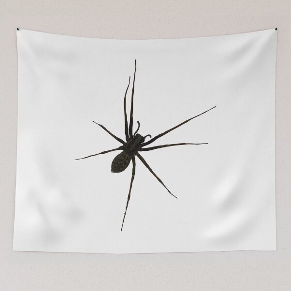 Item preview, Cute little spider designed and sold by Dirk4171.