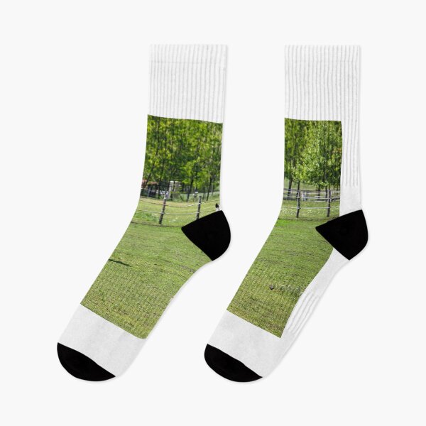 Item preview, horses on the farm in spring season designed and sold by goceris.