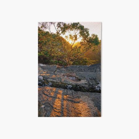Item preview, Morning Glory designed and sold by Harry Oldmeadow.