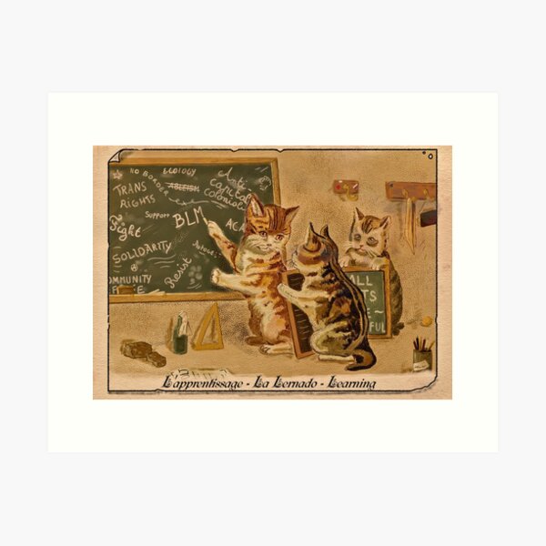 Artikel-Vorschau von Die Lektion – Katzen in der Schule der Anarchie, designt und verkauft von Loki Propagandart.