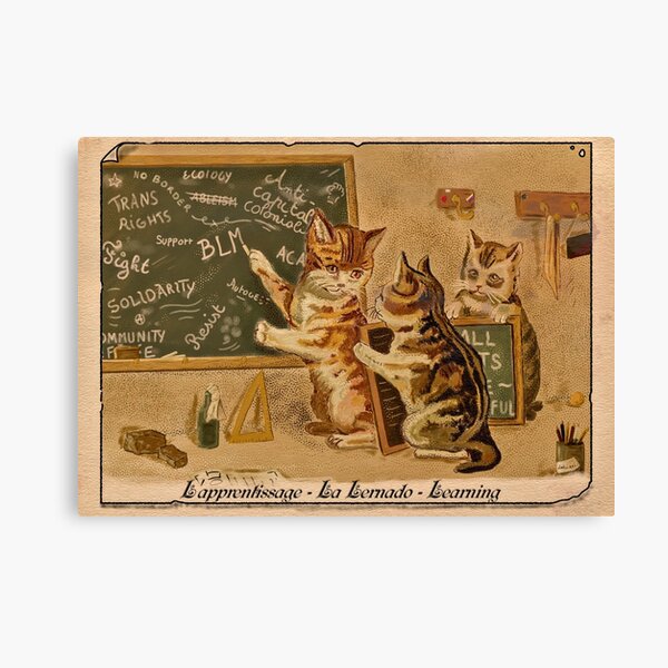 Item preview, The lesson – Cats in the School of Anarchy designed and sold by Loki Propagandart.