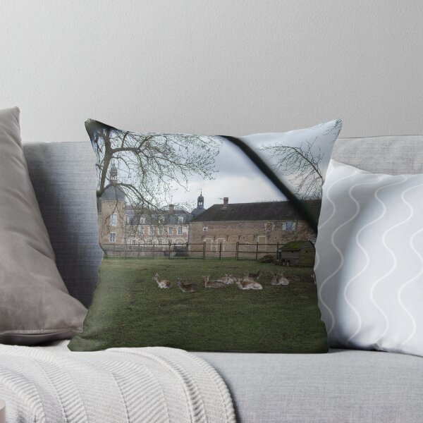 Aperçu de l'œuvre Le château de Pierre-de-Bresse est un château du XVIIe siècle situé en Bourgogne-Franche-Comté. Journée d'hiver nuageuse créée et vendue par Maurizio Fabbroni.