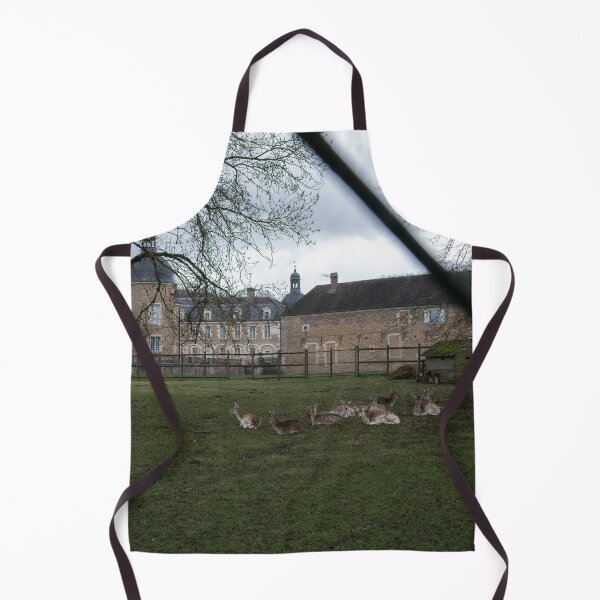 Item preview, The castle of Pierre-de-Bresse is a 17th-century castle in the Bourgogne-Franche-Comte. Cloudy winter day designed and sold by Maurizio Fabbroni.