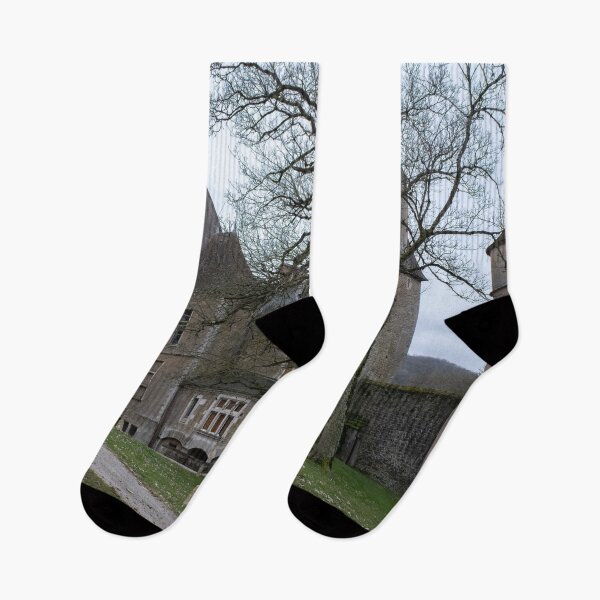 Item preview, The Castel of Coraboeuf  is a 14th-century castle in the Bourgogne-Franche-Comte. Cloudy winter day designed and sold by Maurizio Fabbroni.