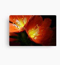 Mellow Yellow Canvas Print