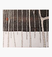 "december" Photographic Print