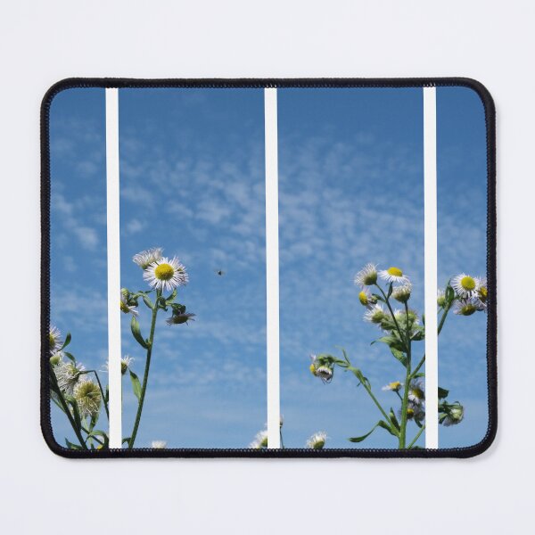 Item preview, Cirrocumulus clouds in blue sky; sunny peaceful spring day. Bee is coming to white and yellow flowers to pollinate. Water in a gaseous state in nature. The atmosphere of the earth. Symbol of freedom designed and sold by Maurizio Fabbroni.