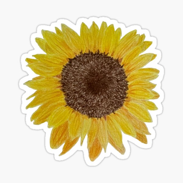 Wallpaper war, sunflower, plants, parody, sunflower, Plants vs