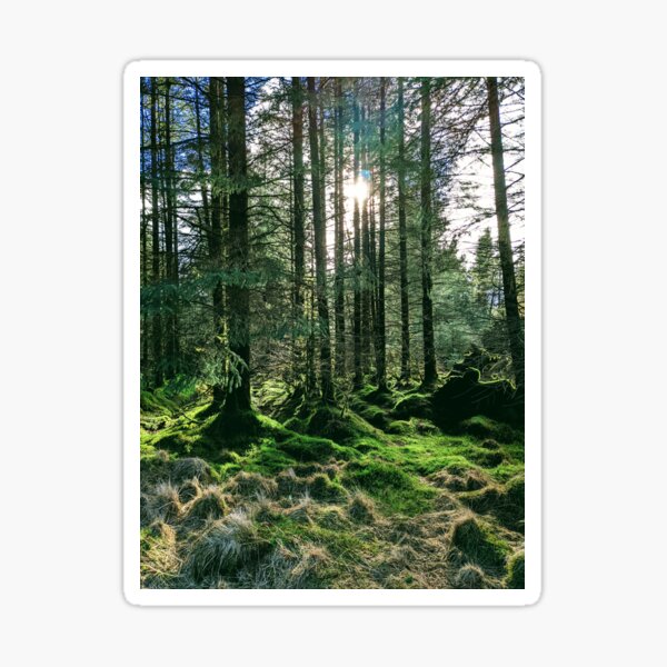 Item preview, Galloway Forest designed and sold by FastRapidash.