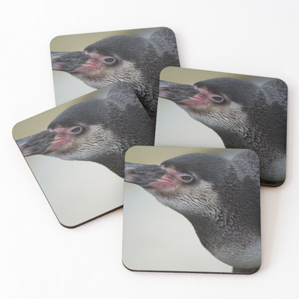 Item preview, Humboldt Penguin designed and sold by rawshutterbug.