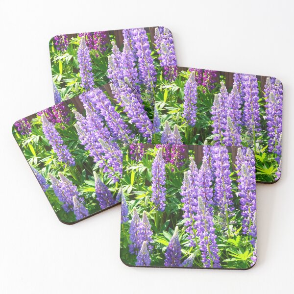 Item preview, Purple violet pink pink lupine flowers | Multi-leaved lupins Lupinus polyphyllus amidst lush green grass. designed and sold by sopfanna.