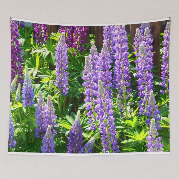 Item preview, Purple violet pink pink lupine flowers | Multi-leaved lupins Lupinus polyphyllus amidst lush green grass. designed and sold by sopfanna.