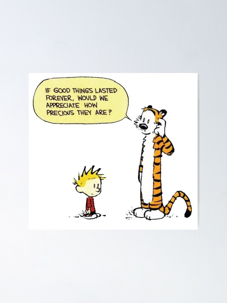 calvin, hobbes, calvin hobbes, calvin and hobbes, comic, cartoon, fxxz calvin, hobbes, calvin hobbes, calvin and hobbes, comic, cartoon, fxxz