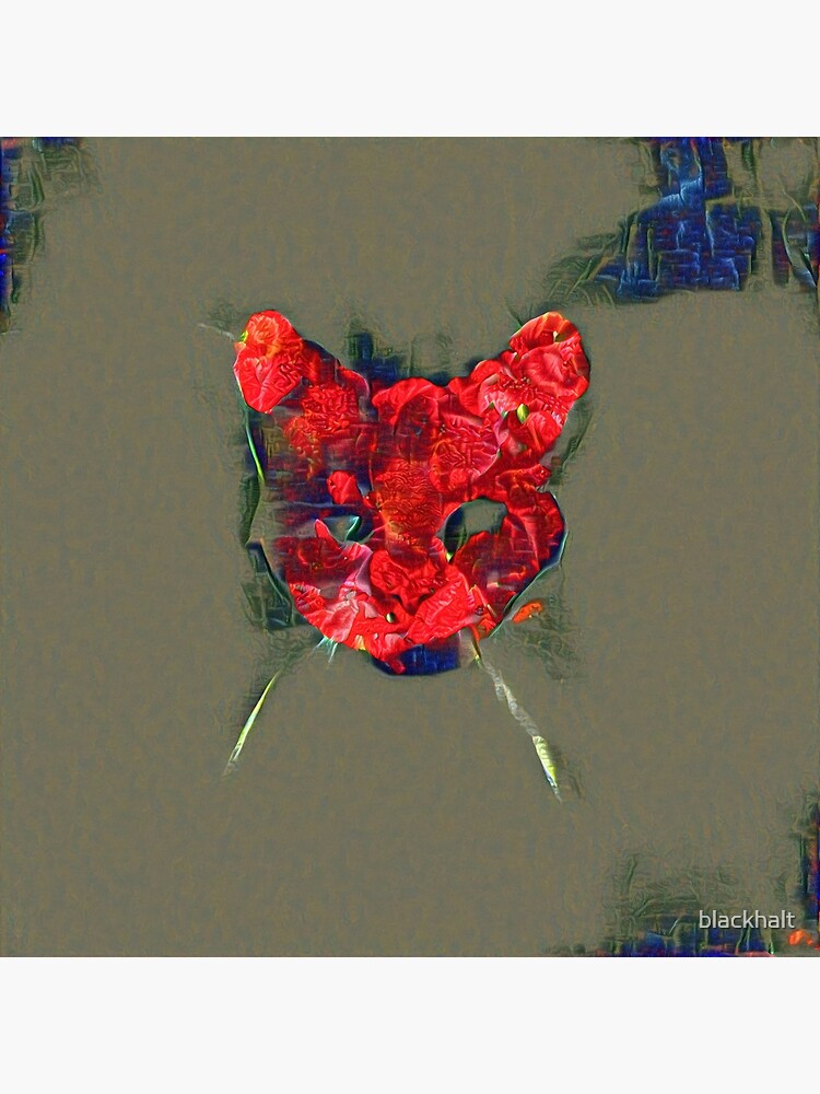 Ninja cat hiding in poppy #Art by blackhalt