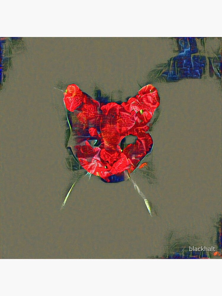 Ninja cat hiding in poppy #Art by blackhalt