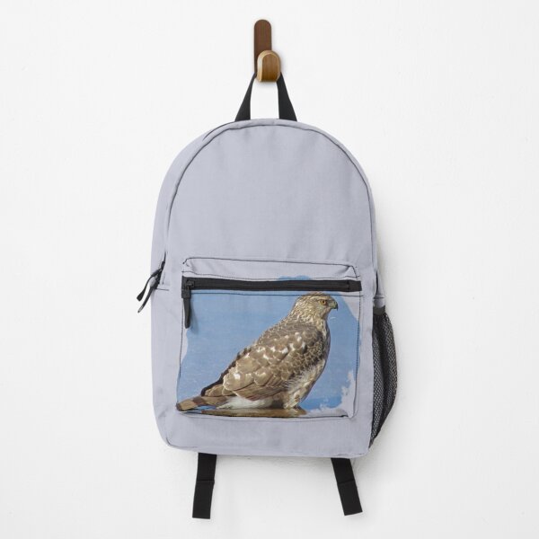 Item preview, Bird Photo Raptor Blue Water Young Hawk designed and sold by natureinfocus.