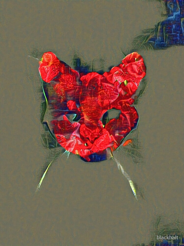 Ninja cat hiding in poppy #Art by blackhalt