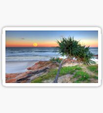 Super Moonrise at Coolum Sticker