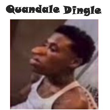  I'm Pushing Dingle Quandle Dingle Goofy Ahh Meme Quote