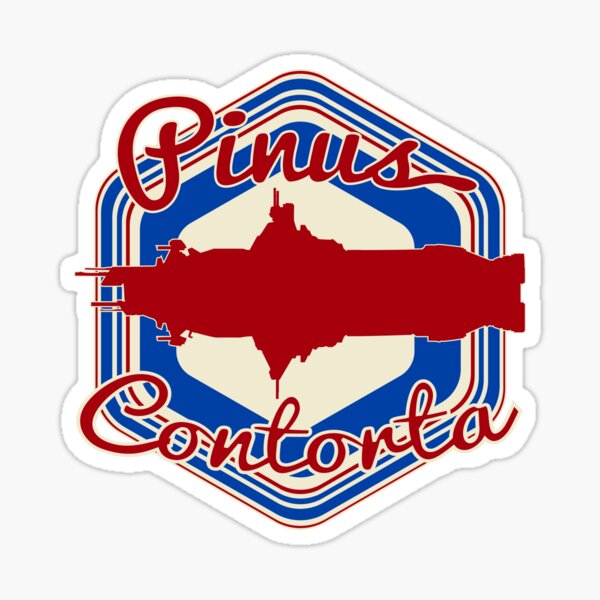 Item preview, PINUS CONTORTA AKA ROCINANTE designed and sold by karmadesigner.