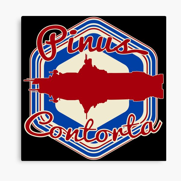 Item preview, PINUS CONTORTA AKA ROCINANTE designed and sold by karmadesigner.