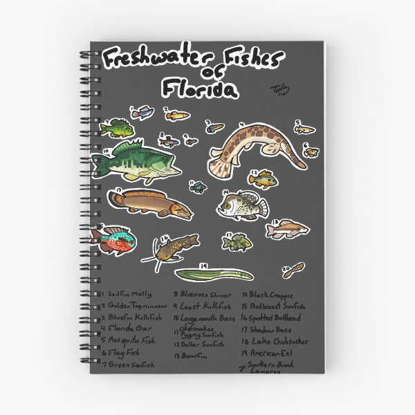 Item preview, florida freshwater fish designed and sold by Trilodite.