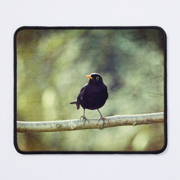 Item preview, The Blackbird designed and sold by Claudia-Evans.