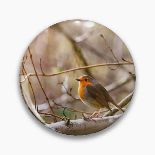 Item preview, Robin on branch designed and sold by Claudia-Evans.