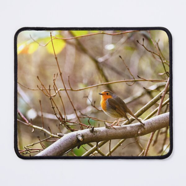 Item preview, Robin on branch designed and sold by Claudia-Evans.