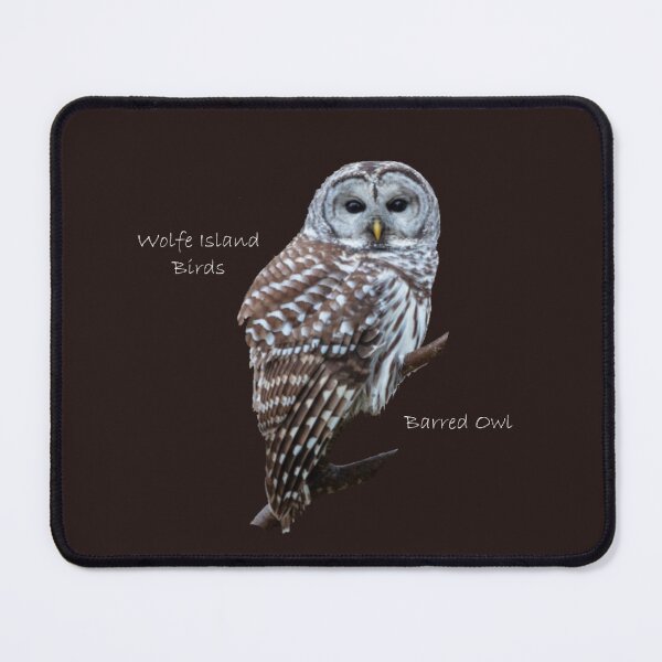 Item preview, Wolfe Island Birds Barred Owl designed and sold by qlajt.