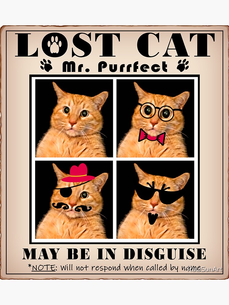 LOST CAT: Missing Mr. Purrfect Sticker for Sale by RawSunArt