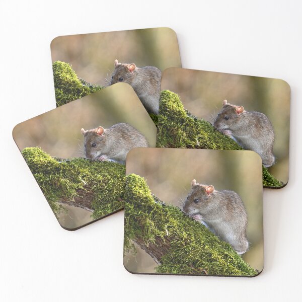 Item preview, wild rat designed and sold by Claudia-Evans.