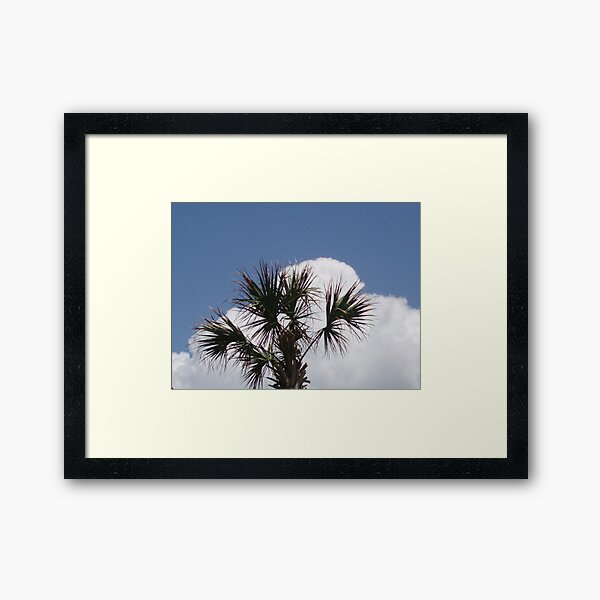 Item preview, Palm Tree Myrtle beach designed and sold by Johanna  Rutter.