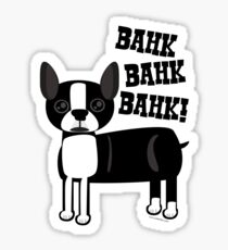 Boston Accent Terrier Sticker