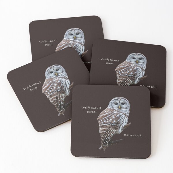 Item preview, Wolfe Island Birds Barred Owl designed and sold by qlajt.