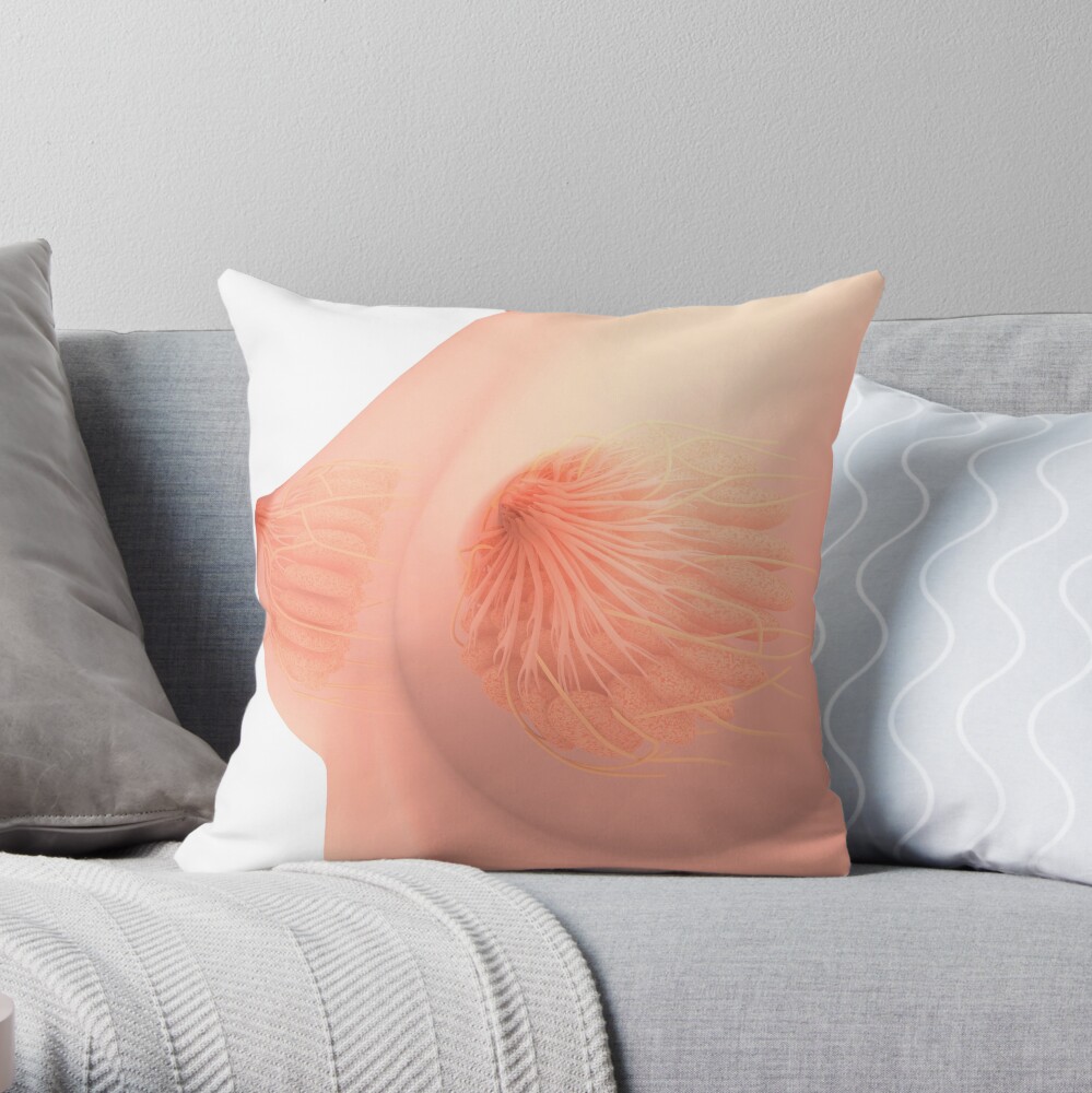 Peach best sale coloured cushions