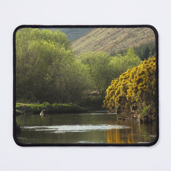 Item preview, A stream, gorse and a tree on a spring day, Isle of Arran, Scotland designed and sold by icomeinpeace2.