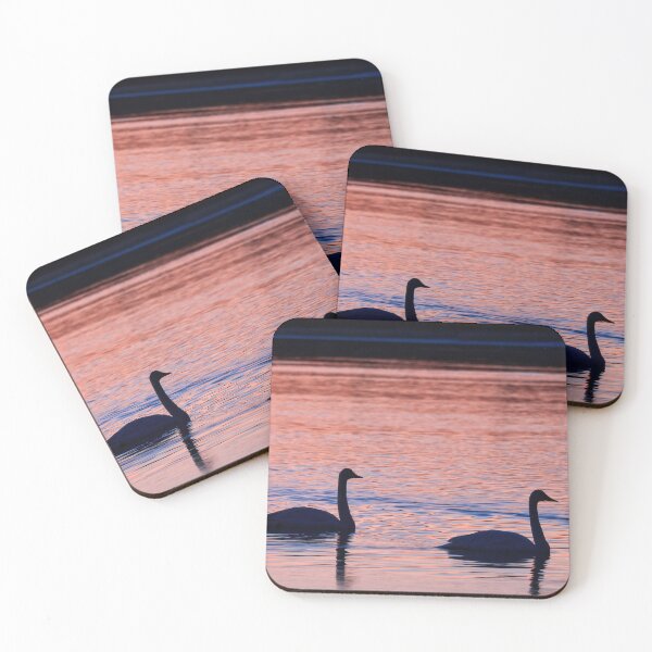 Item preview, Dúo. cisne cantor designed and sold by Jouko Lehto Photography.