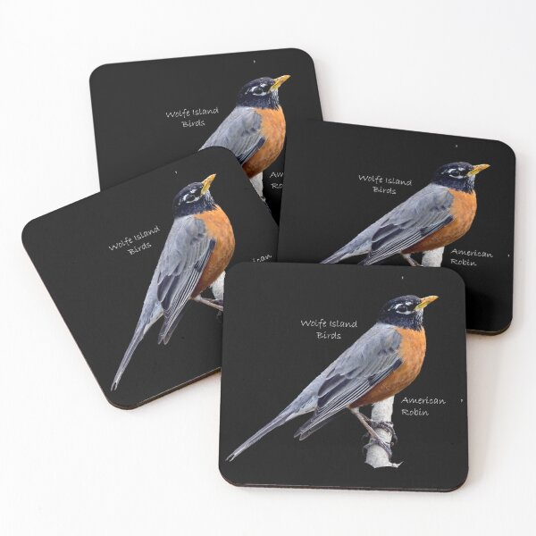 Item preview, Wolfe Island Birds American Robin designed and sold by qlajt.