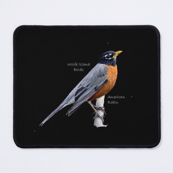 Item preview, Wolfe Island Birds American Robin designed and sold by qlajt.