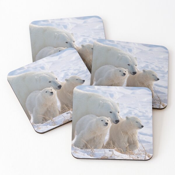 Item preview, Polar Bear Mother and Cubs designed and sold by wildlifist.