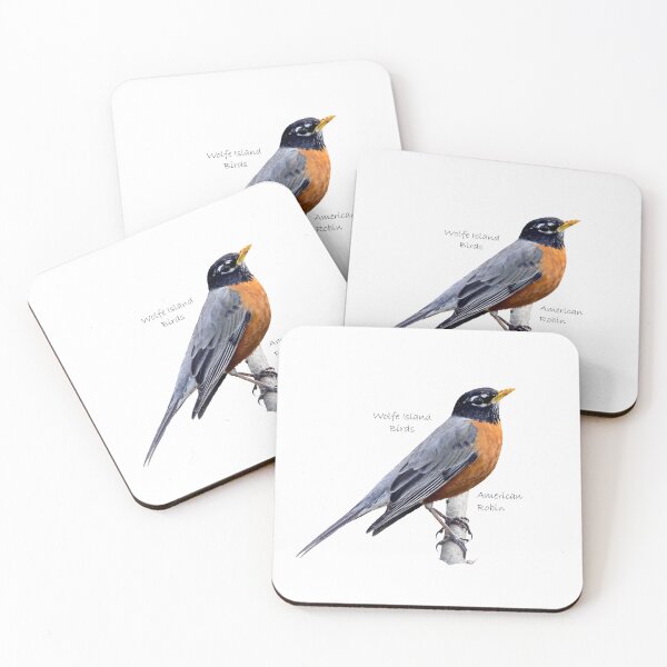 Item preview, Wolfe Island Birds American Robin Sticker designed and sold by qlajt.