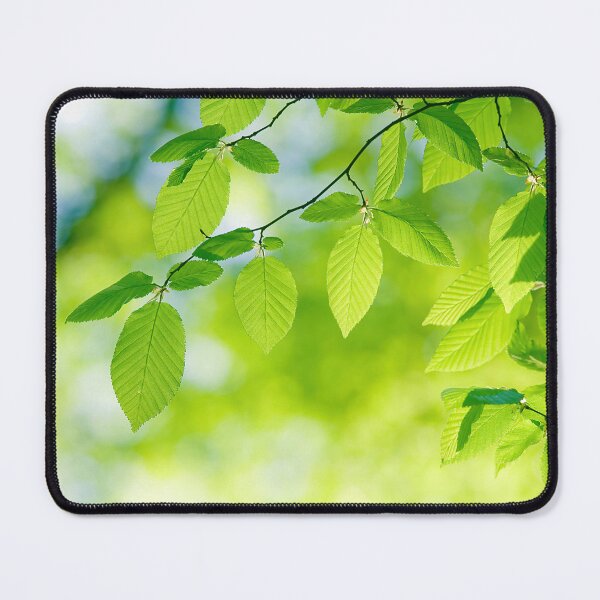 Item preview, Vivid Colors Hornbeam Tree Leaves at Spring in the Forest designed and sold by digoarpi.