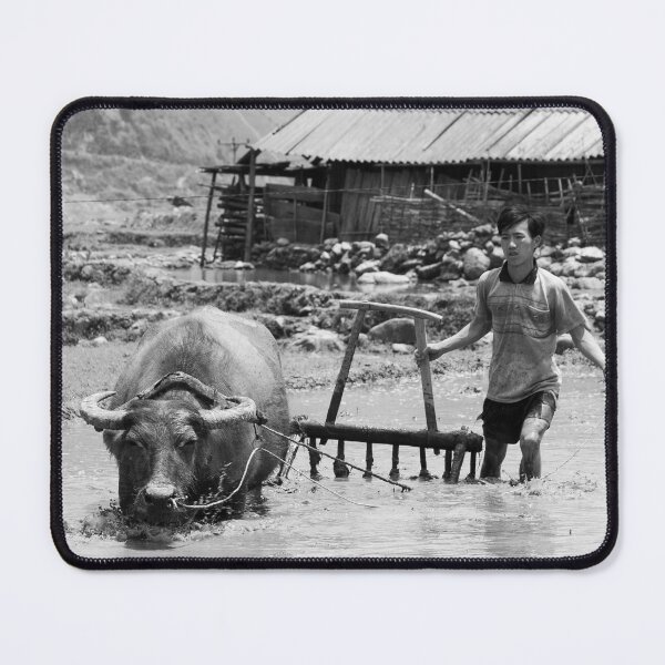 Item preview, Water Buffalo designed and sold by Kezzles.