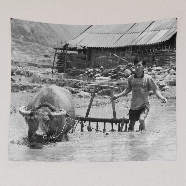Item preview, Water Buffalo designed and sold by Kezzles.