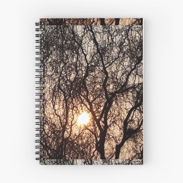 Item preview, Evening Light designed and sold by amanda150771.